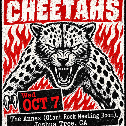 The Streetwalkin' Cheetahs