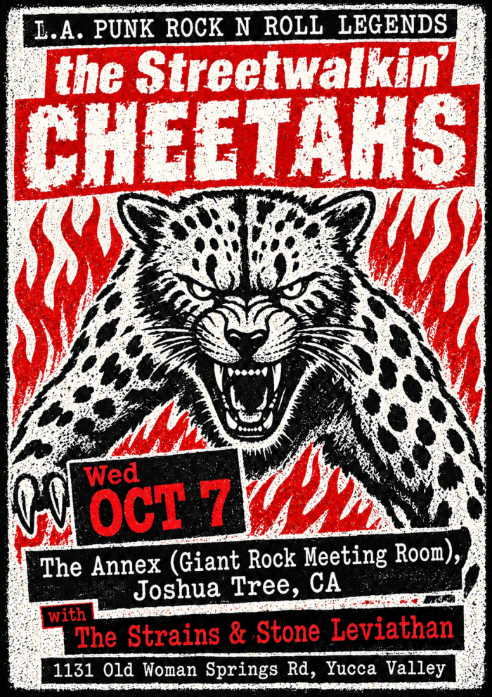 The Streetwalkin' Cheetahs