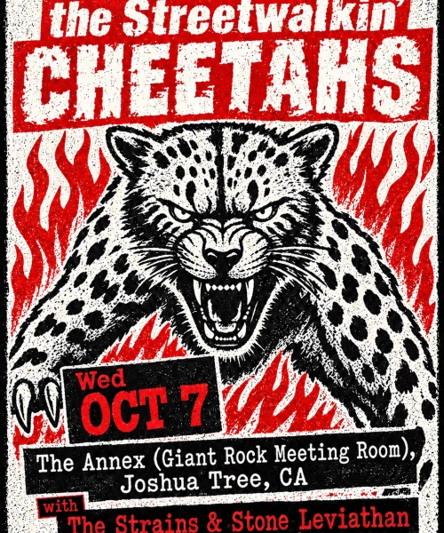 The Streetwalkin' Cheetahs